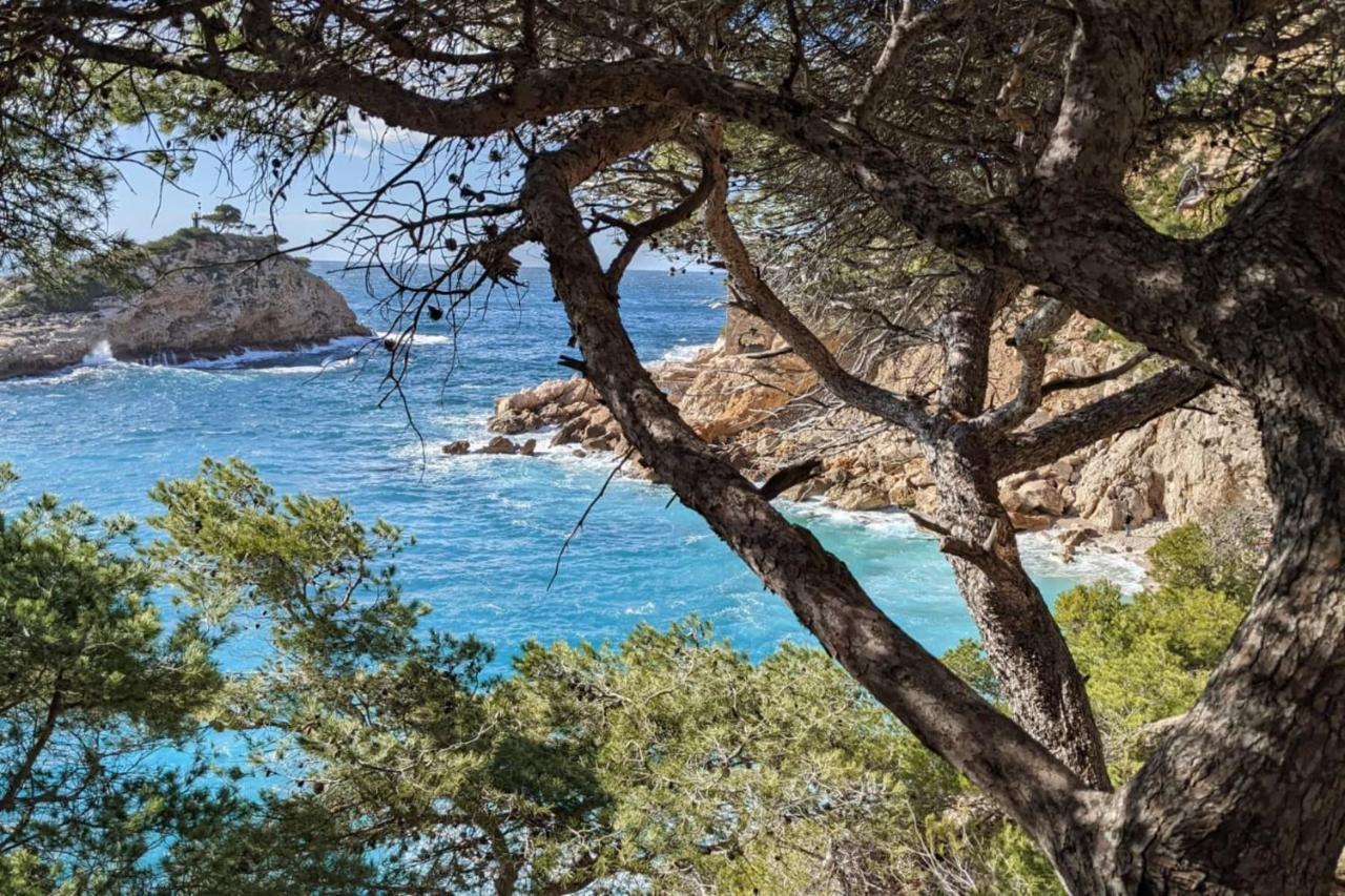 Tranquil 1 Bedroom Close To The Beach With Terrace - Dodo Et Tartine Carry-le-Rouet Dış mekan fotoğraf